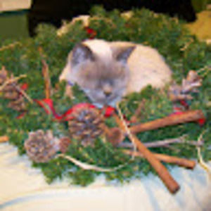 Meet your Posher, S.